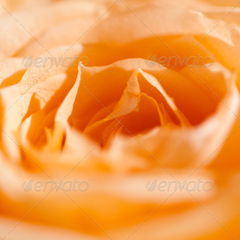 呼叫TA急速系统